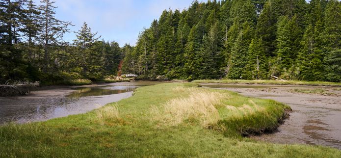 Celebrating 50 Years of the South Slough National Estuarine Research Reserve 