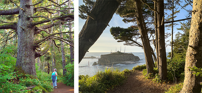 woman near Great Spruce and island seen through trees