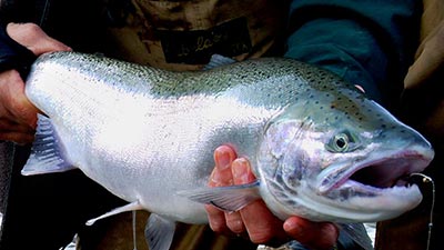 Fishing is amazing on Oregon's Adventure Coast