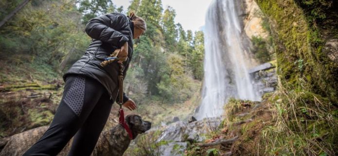 Do’s and Don’ts of Traveling with Pets to Oregon's Adventure Coast