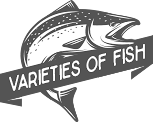 Different Varieties of Fish in Our Area